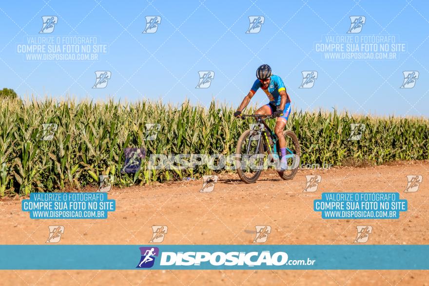 8º Pedal do Trabalhador - Vital Bikes