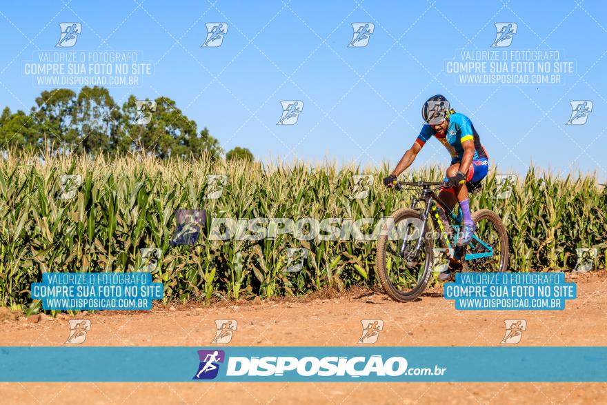 8º Pedal do Trabalhador - Vital Bikes