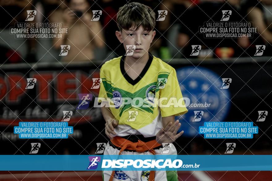 24º Campeonato Paranaense de Kickboxing