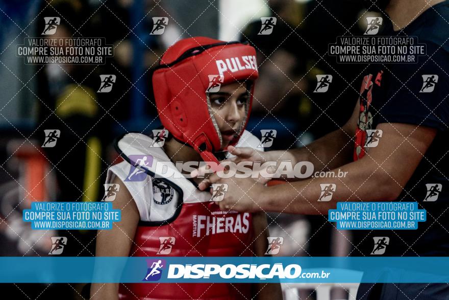 24º Campeonato Paranaense de Kickboxing