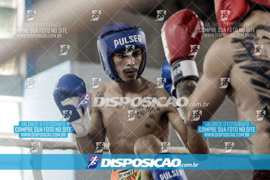 24º Campeonato Paranaense de Kickboxing