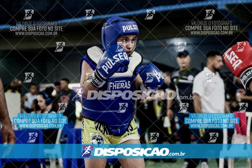 24º Campeonato Paranaense de Kickboxing