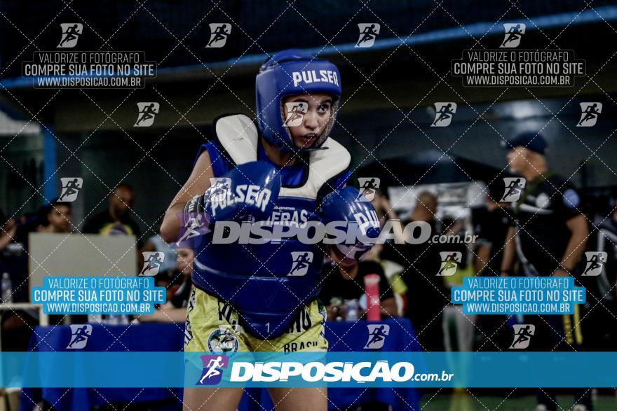 24º Campeonato Paranaense de Kickboxing