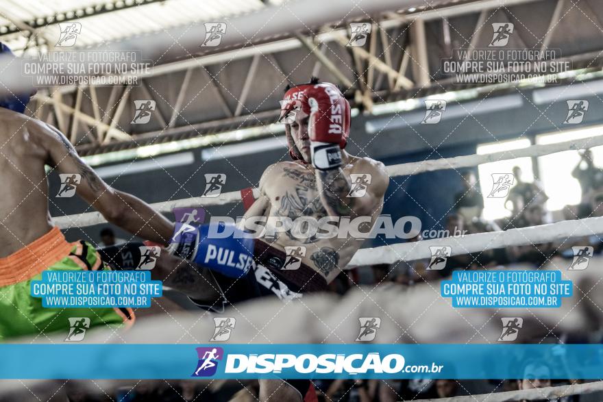 24º Campeonato Paranaense de Kickboxing