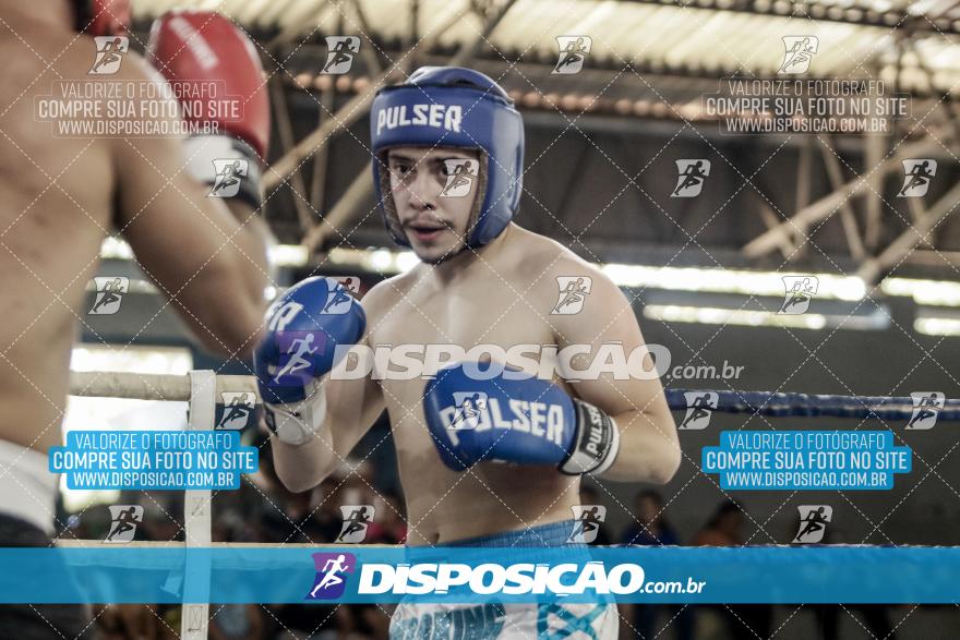 24º Campeonato Paranaense de Kickboxing