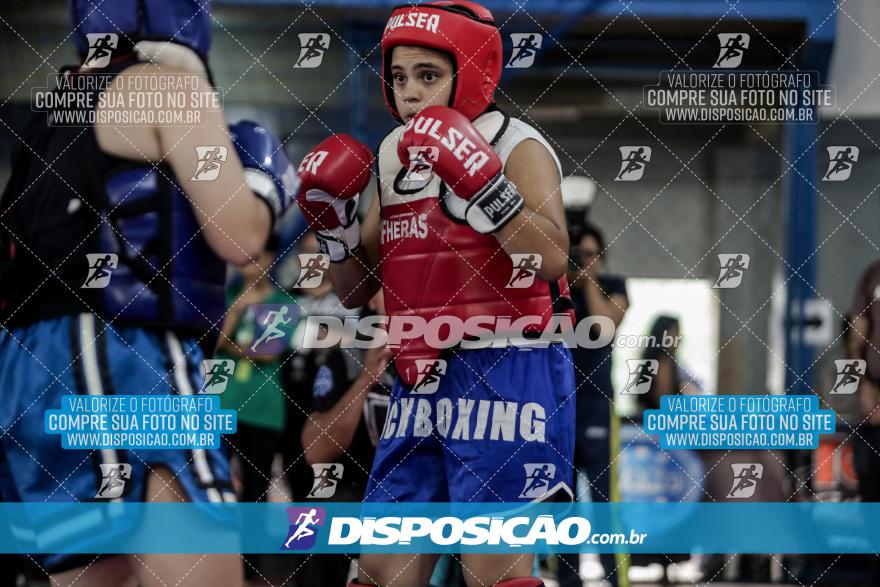 24º Campeonato Paranaense de Kickboxing