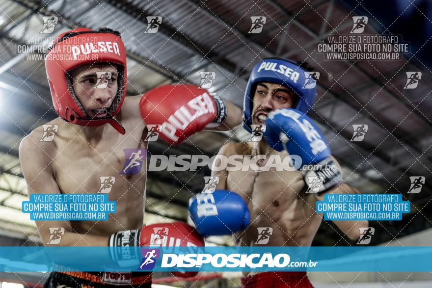 24º Campeonato Paranaense de Kickboxing