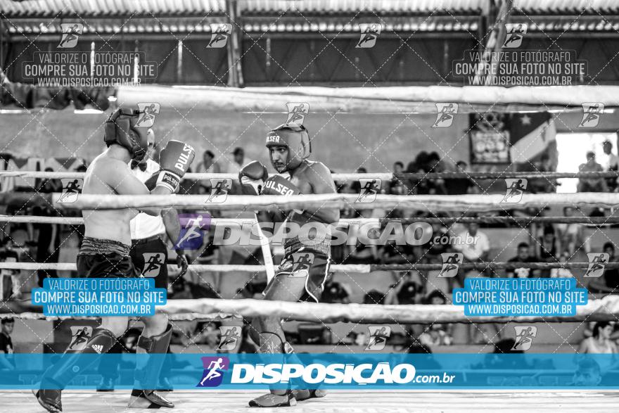 24º Campeonato Paranaense de Kickboxing