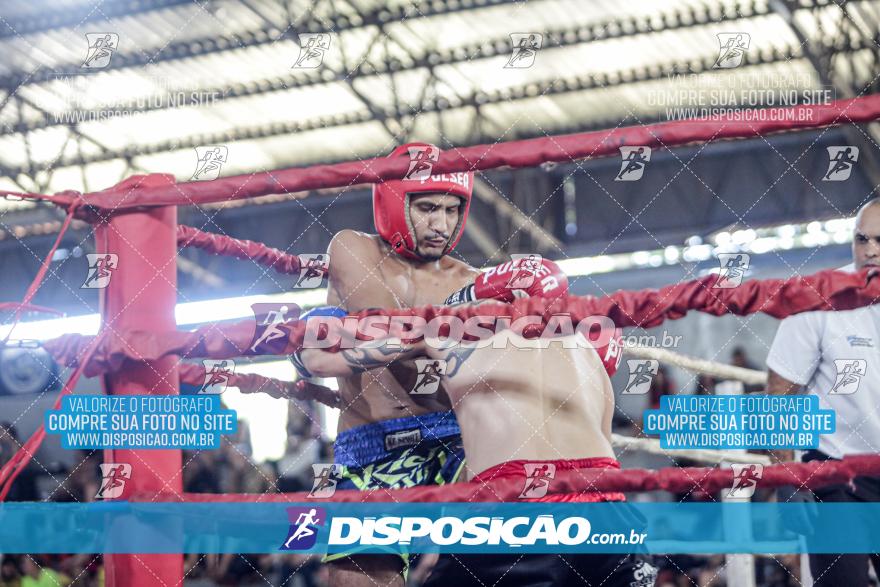 24º Campeonato Paranaense de Kickboxing