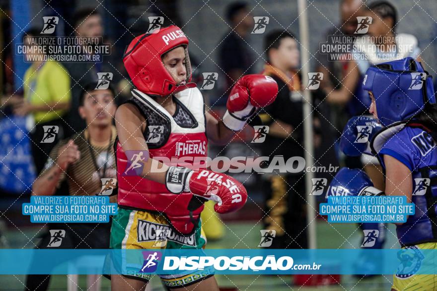 24º Campeonato Paranaense de Kickboxing