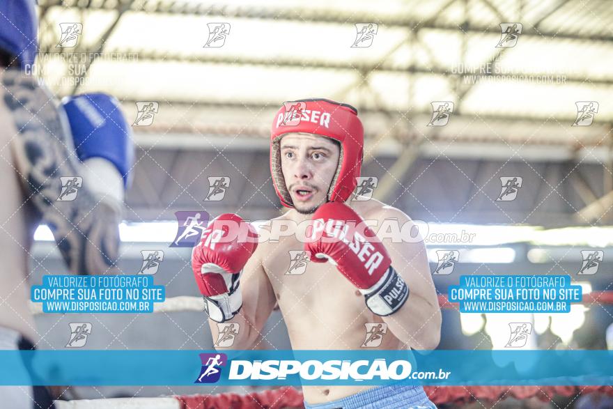 24º Campeonato Paranaense de Kickboxing