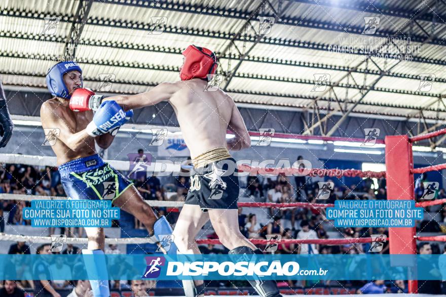 24º Campeonato Paranaense de Kickboxing