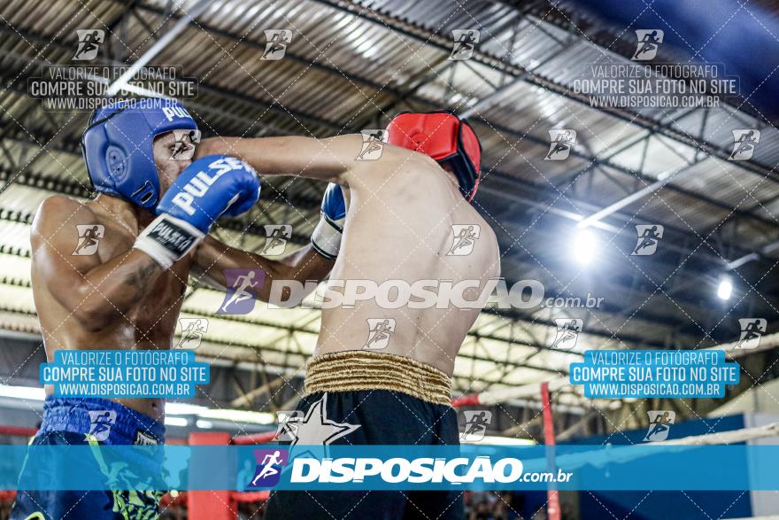 24º Campeonato Paranaense de Kickboxing