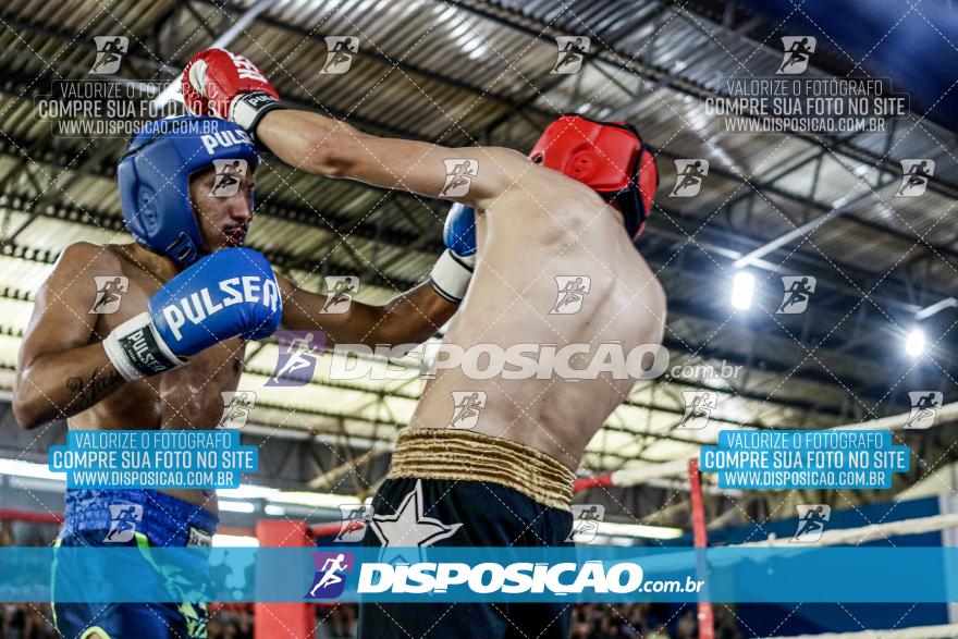 24º Campeonato Paranaense de Kickboxing