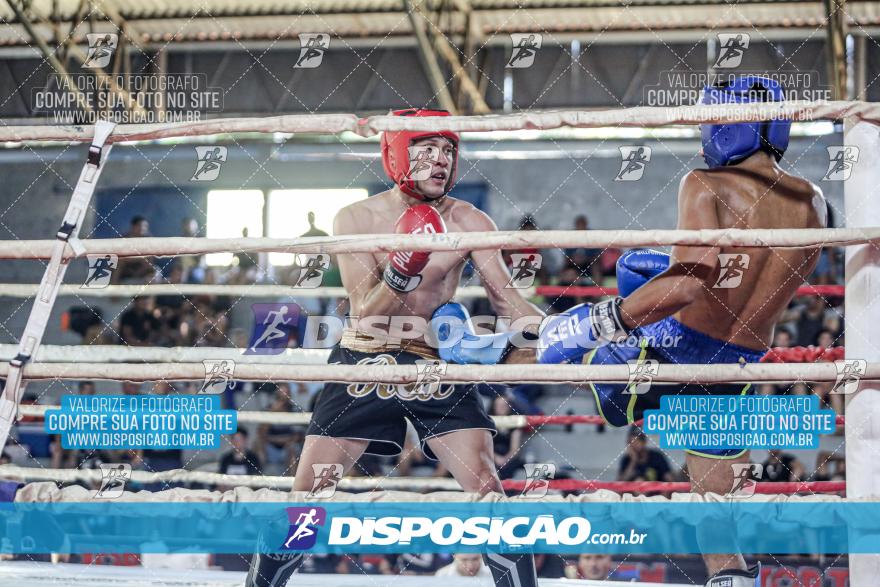 24º Campeonato Paranaense de Kickboxing