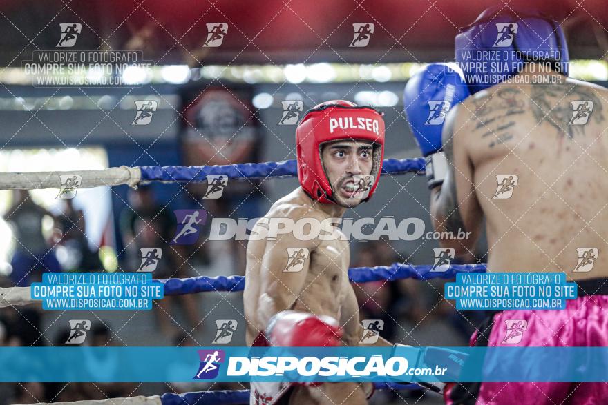 24º Campeonato Paranaense de Kickboxing