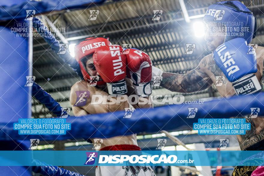 24º Campeonato Paranaense de Kickboxing