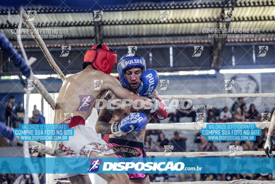 24º Campeonato Paranaense de Kickboxing