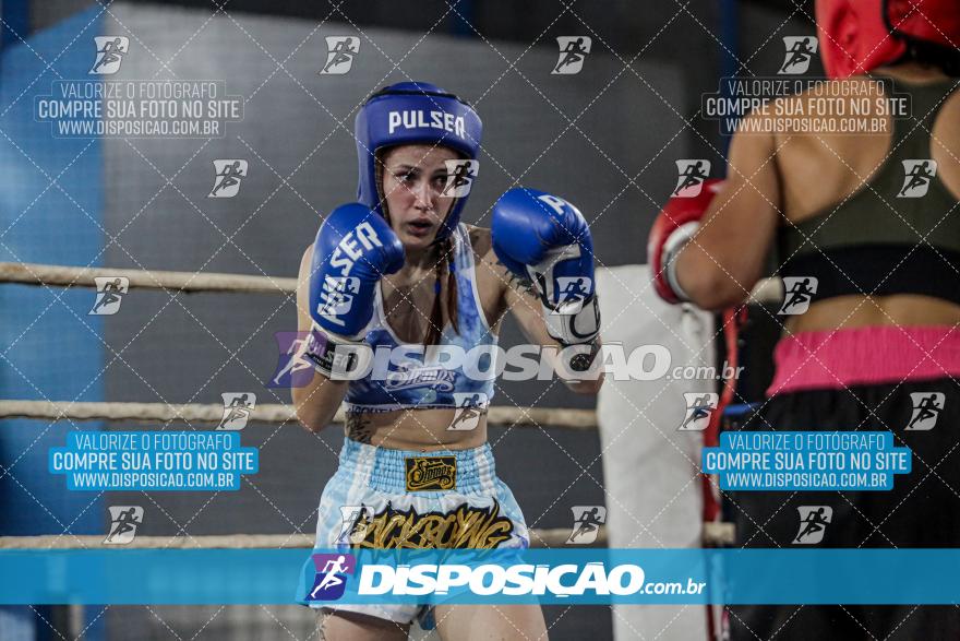 24º Campeonato Paranaense de Kickboxing