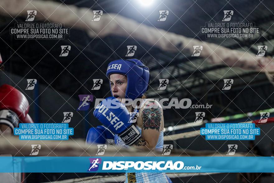 24º Campeonato Paranaense de Kickboxing