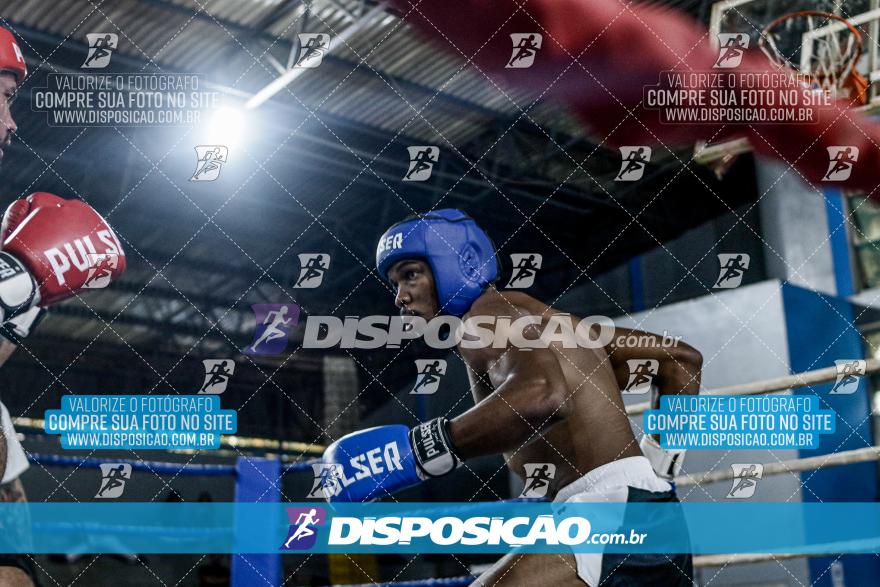 24º Campeonato Paranaense de Kickboxing