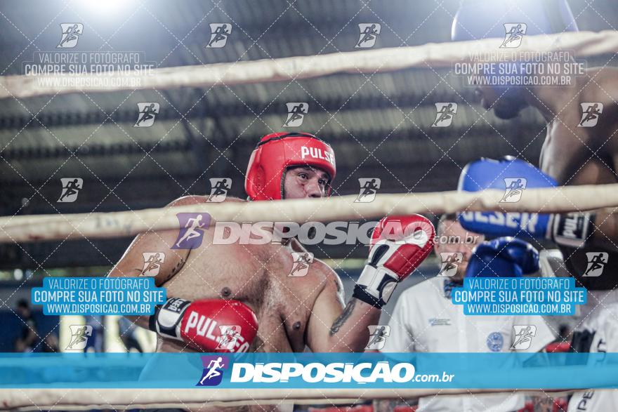 24º Campeonato Paranaense de Kickboxing