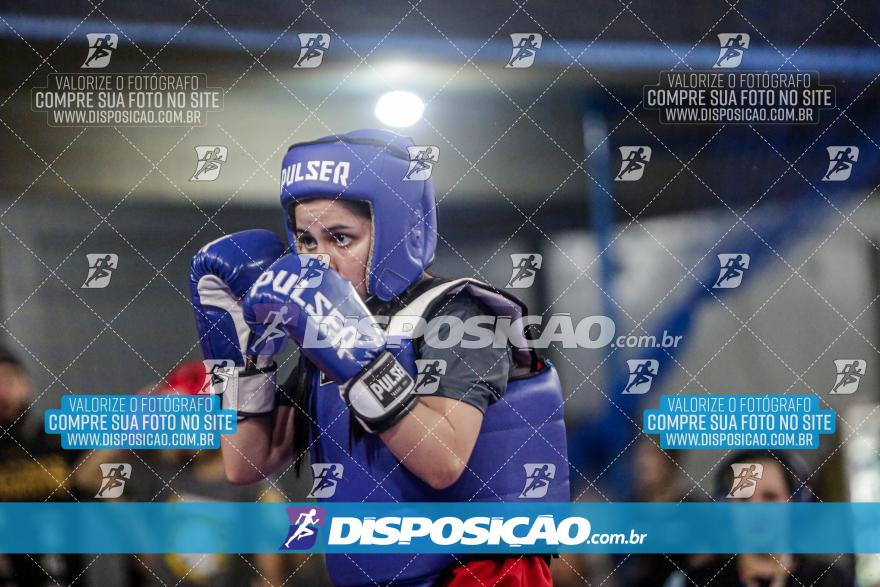 24º Campeonato Paranaense de Kickboxing