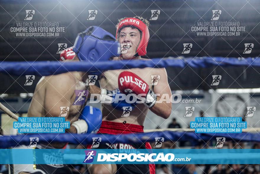 24º Campeonato Paranaense de Kickboxing