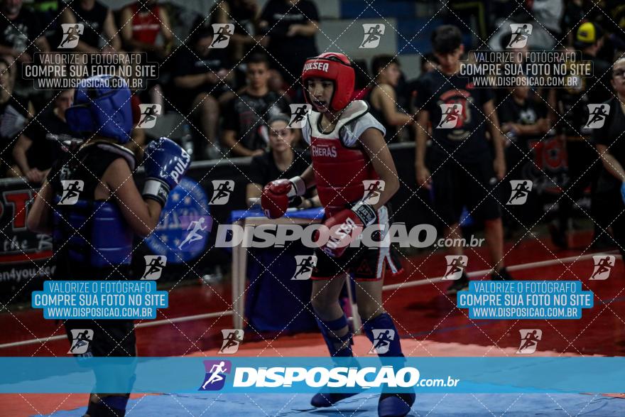 24º Campeonato Paranaense de Kickboxing