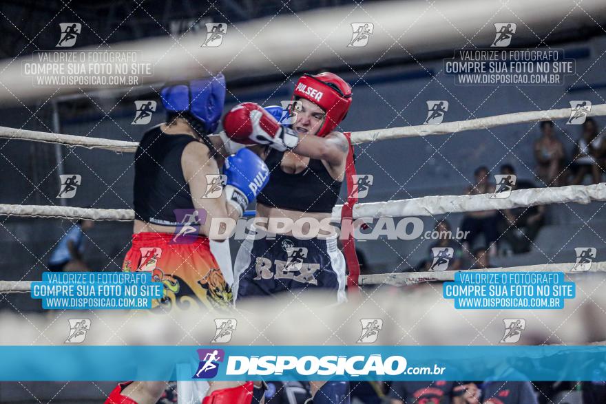 24º Campeonato Paranaense de Kickboxing