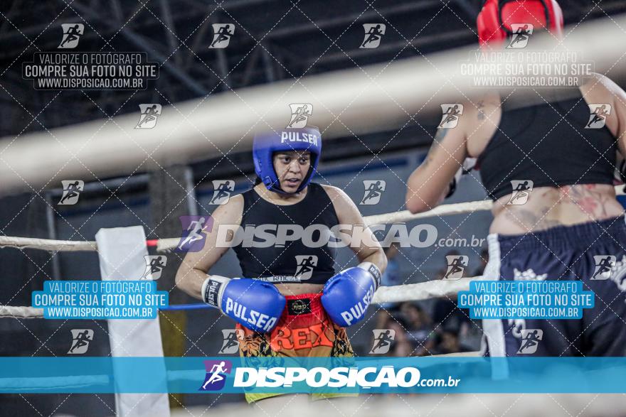 24º Campeonato Paranaense de Kickboxing