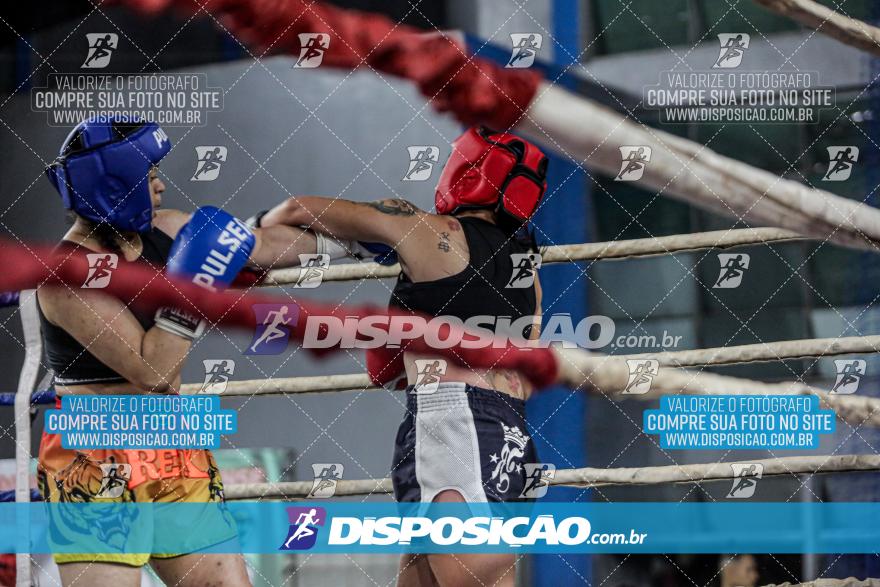 24º Campeonato Paranaense de Kickboxing