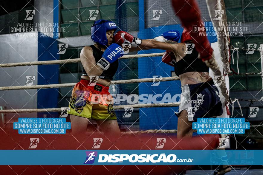 24º Campeonato Paranaense de Kickboxing