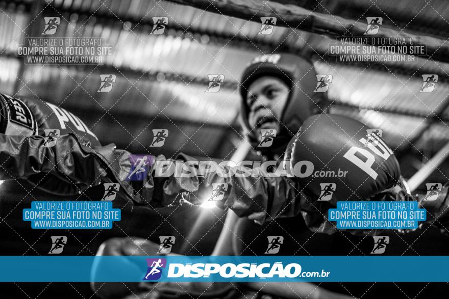 24º Campeonato Paranaense de Kickboxing