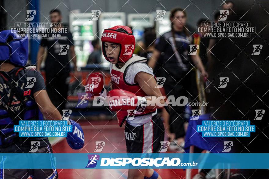 24º Campeonato Paranaense de Kickboxing