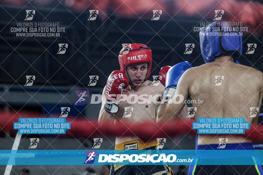 24º Campeonato Paranaense de Kickboxing