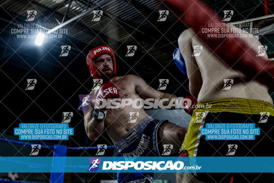 24º Campeonato Paranaense de Kickboxing