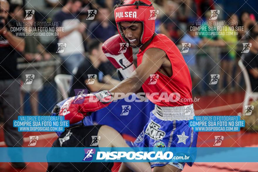 24º Campeonato Paranaense de Kickboxing