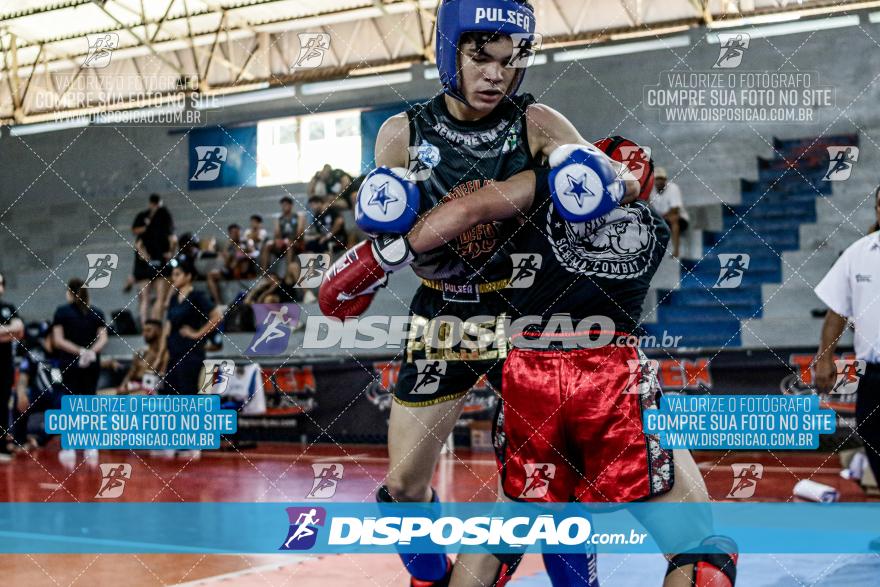 24º Campeonato Paranaense de Kickboxing