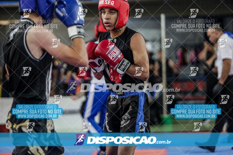 24º Campeonato Paranaense de Kickboxing