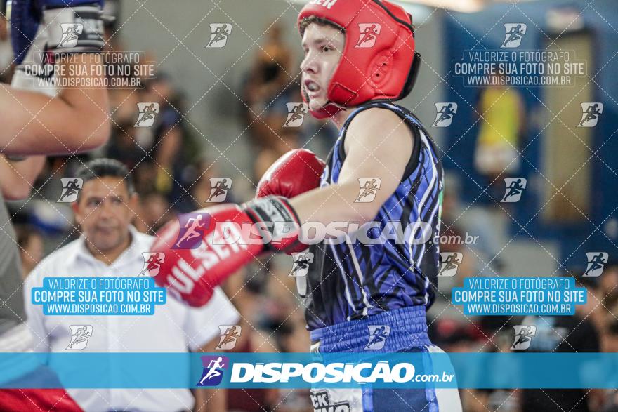 24º Campeonato Paranaense de Kickboxing