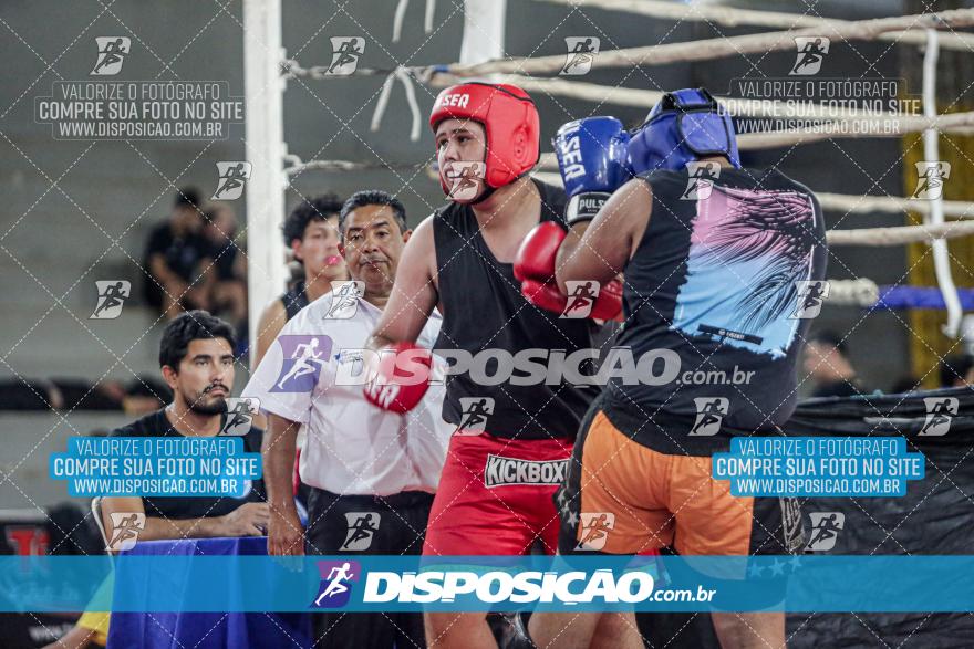 24º Campeonato Paranaense de Kickboxing