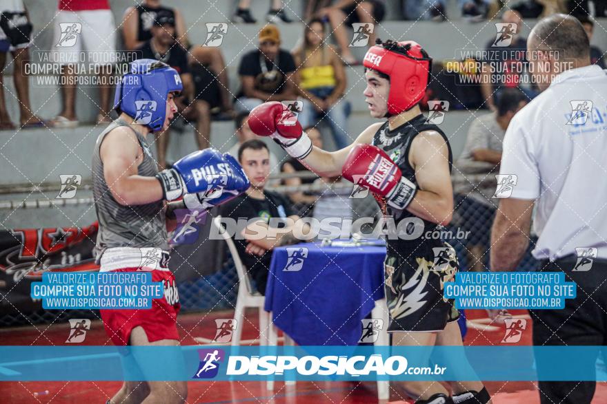 24º Campeonato Paranaense de Kickboxing