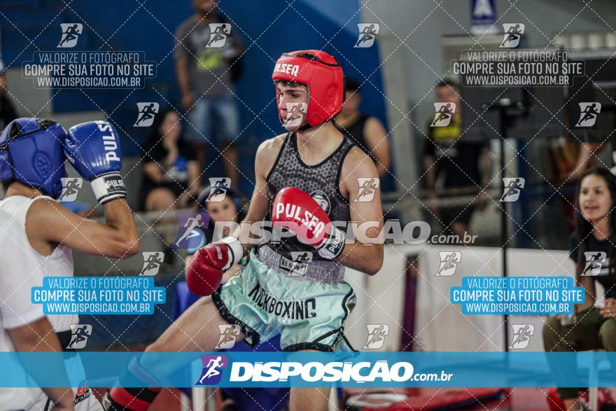 24º Campeonato Paranaense de Kickboxing