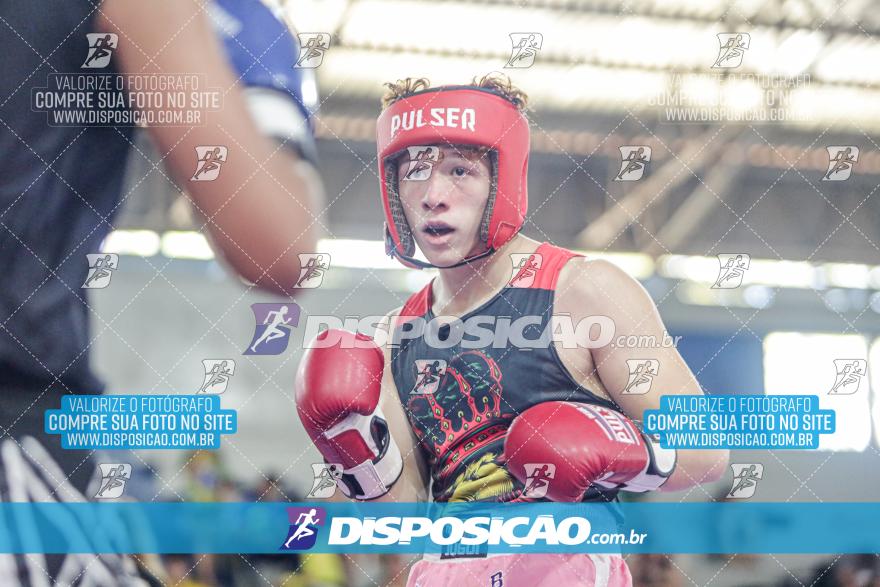 24º Campeonato Paranaense de Kickboxing