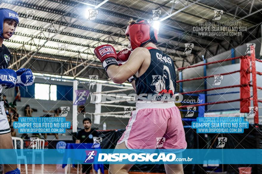 24º Campeonato Paranaense de Kickboxing