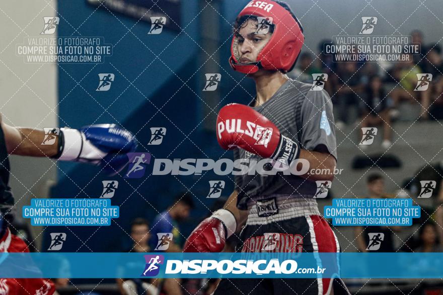 24º Campeonato Paranaense de Kickboxing