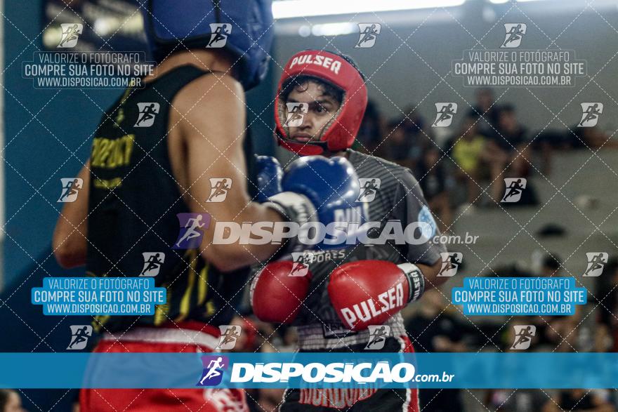 24º Campeonato Paranaense de Kickboxing