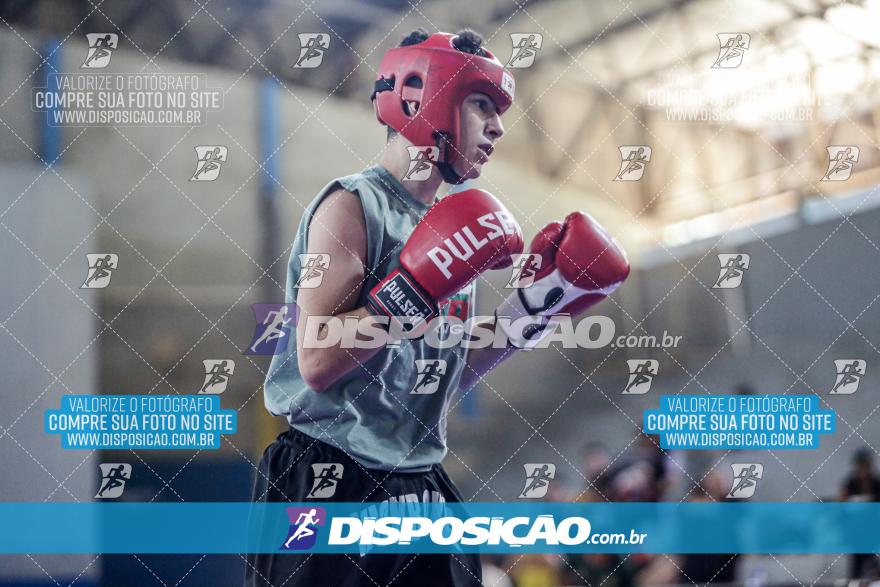 24º Campeonato Paranaense de Kickboxing