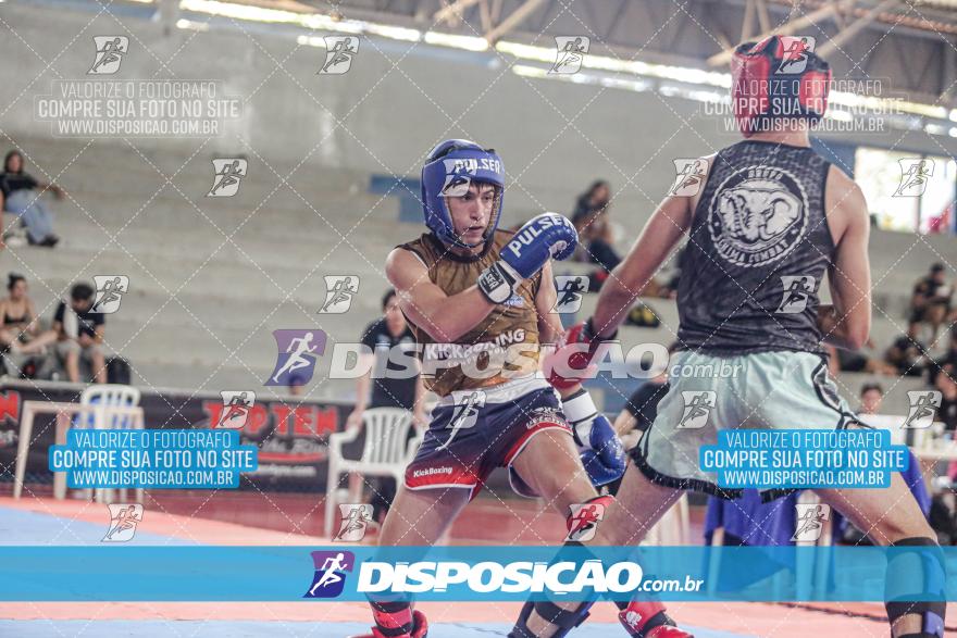 24º Campeonato Paranaense de Kickboxing